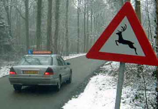 Theorie