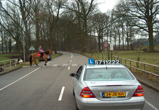 Theorie
